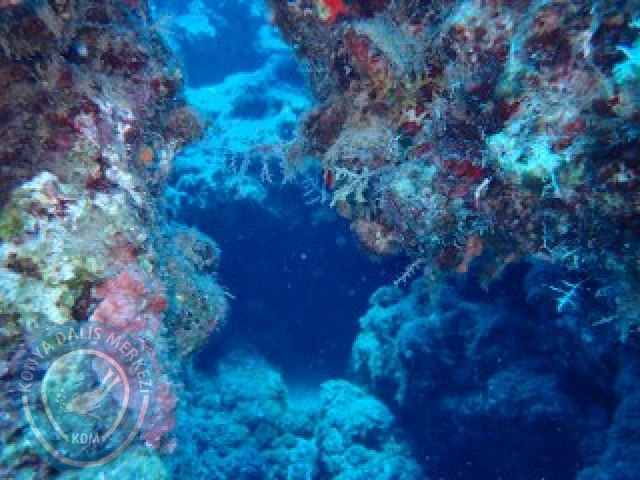 19-20 Eylül Fethiye