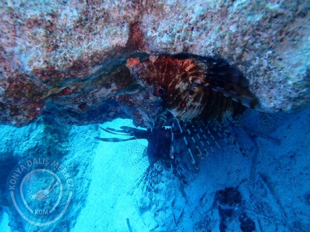 19-20 Eylül KAŞ