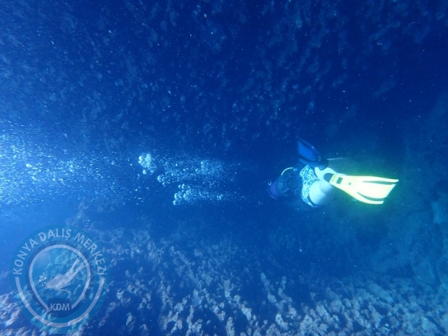 19-20 Eylül KAŞ