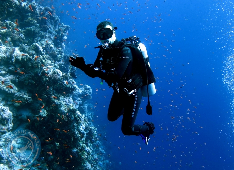 2-6 Aralık Sharm el-Sheikh