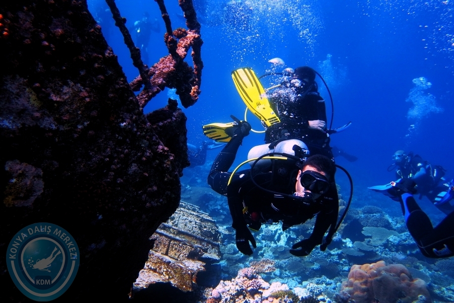 2-6 Aralık Sharm el-Sheikh