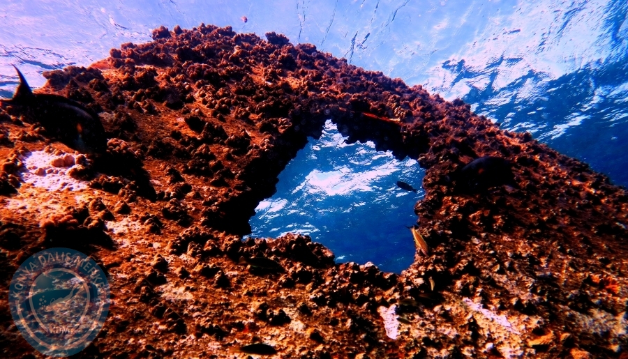 2-6 Aralık Sharm el-Sheikh