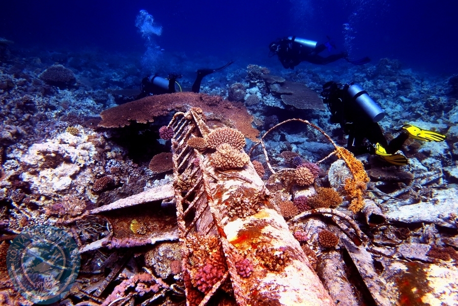 2-6 Aralık Sharm el-Sheikh