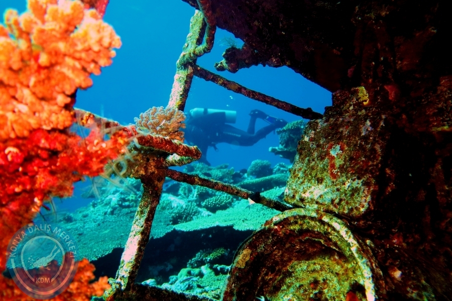 2-6 Aralık Sharm el-Sheikh