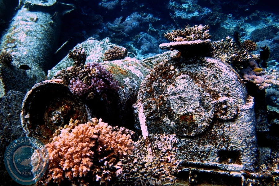 2-6 Aralık Sharm el-Sheikh