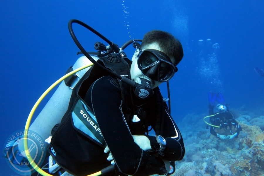 2-6 Aralık Sharm el-Sheikh