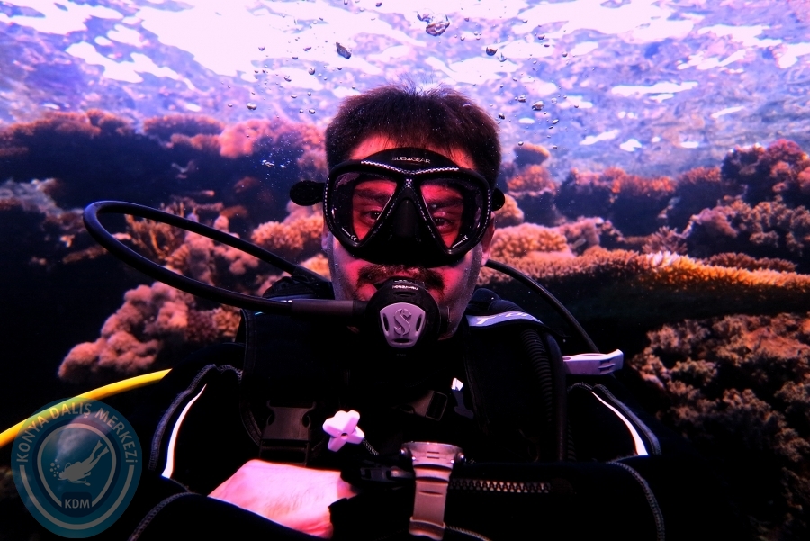 2-6 Aralık Sharm el-Sheikh