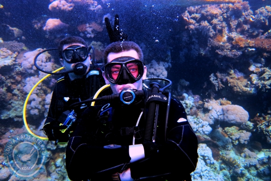 2-6 Aralık Sharm el-Sheikh