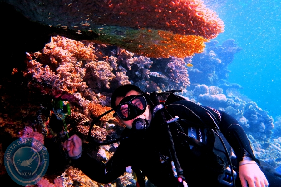 2-6 Aralık Sharm el-Sheikh
