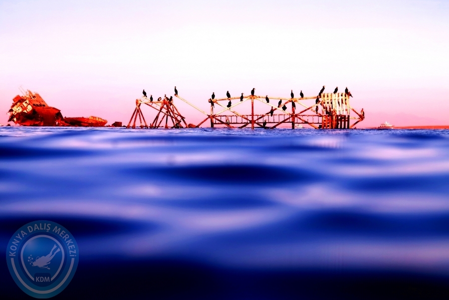 2-6 Aralık Sharm el-Sheikh