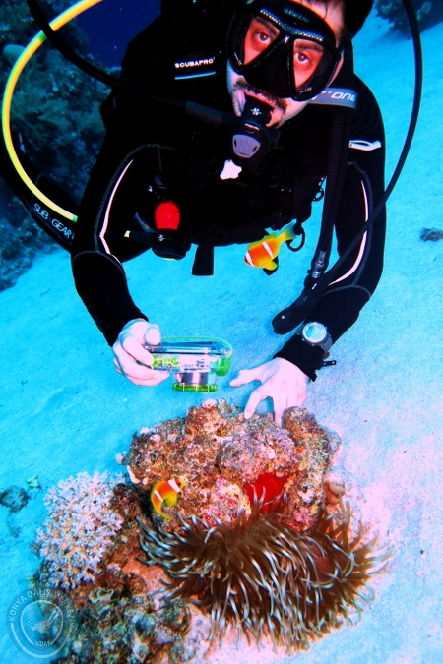 2-6 Aralık Sharm el-Sheikh