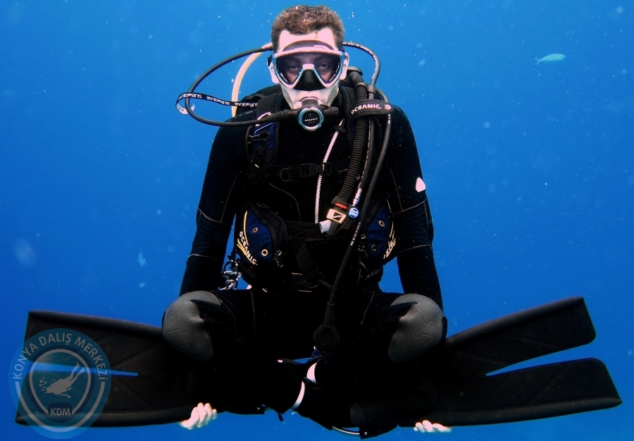 2-6 Aralık Sharm el-Sheikh