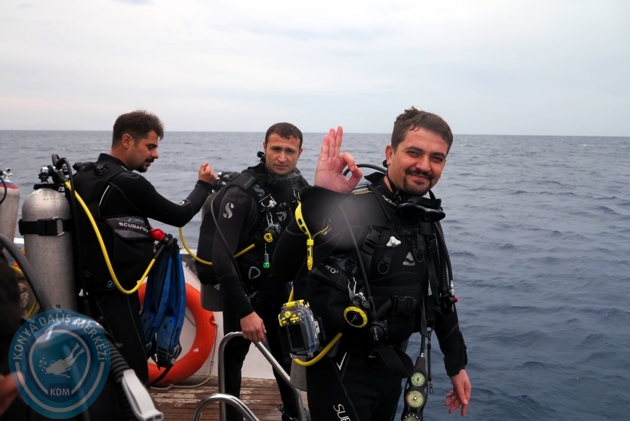 2-6 Aralık Sharm el-Sheikh
