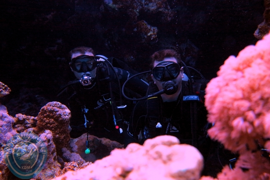 2-6 Aralık Sharm el-Sheikh