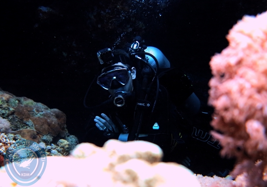 2-6 Aralık Sharm el-Sheikh