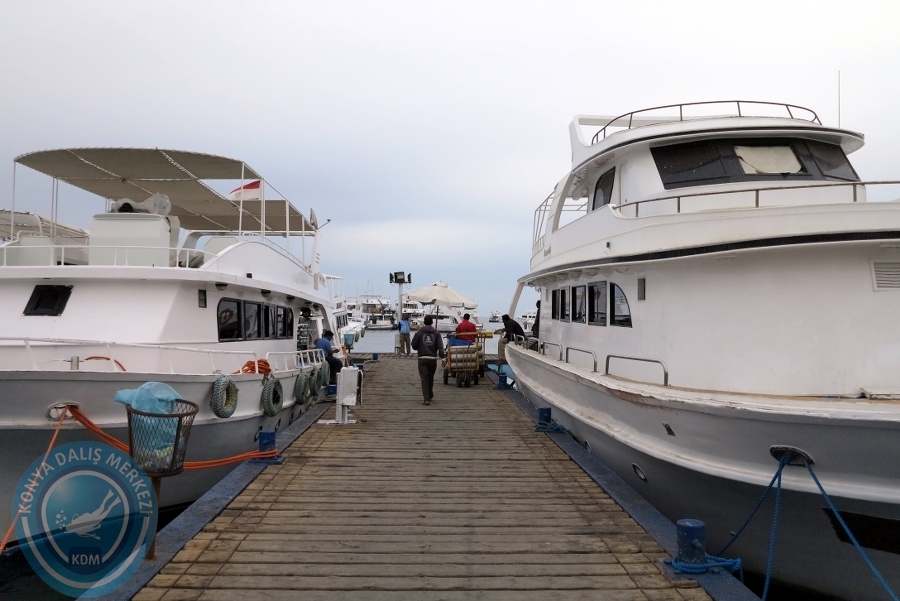 2-6 Aralık Sharm el-Sheikh
