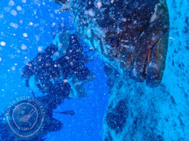 20-21 Temmuz Kaş