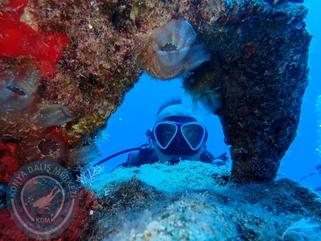 20-21 Temmuz Kaş