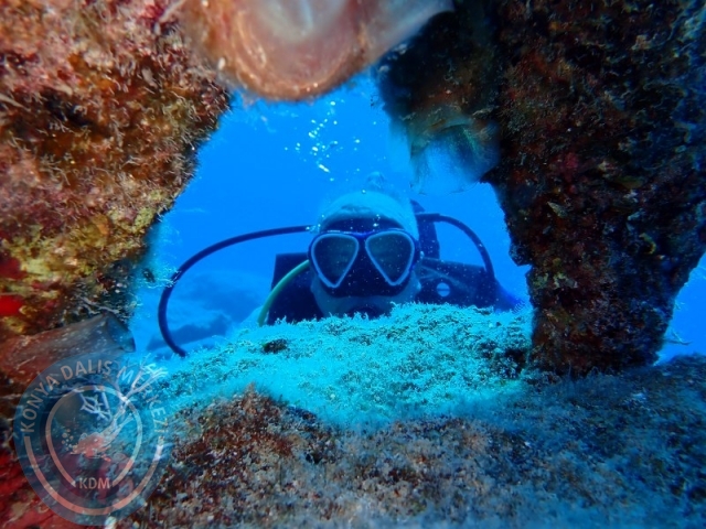20-21 Temmuz Kaş