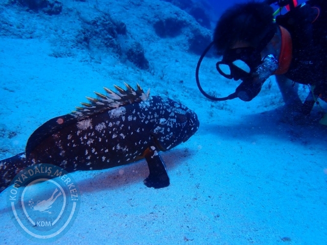 20-21 Temmuz Kaş