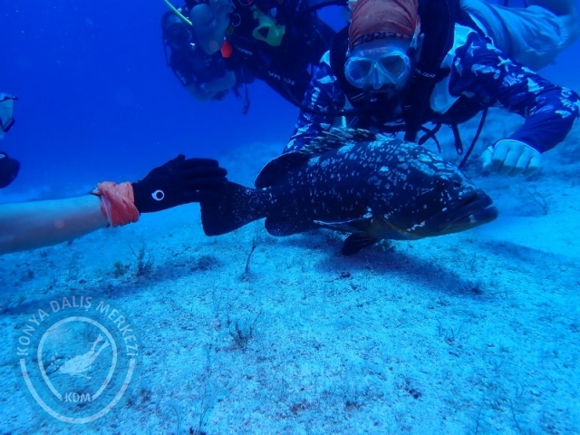 20-21 Temmuz Kaş