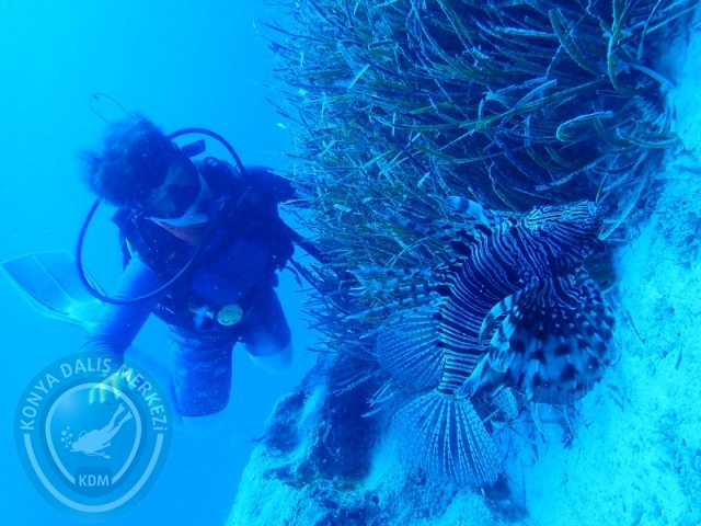 20-21 Temmuz Kaş