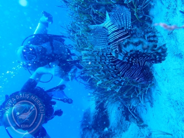 20-21 Temmuz Kaş