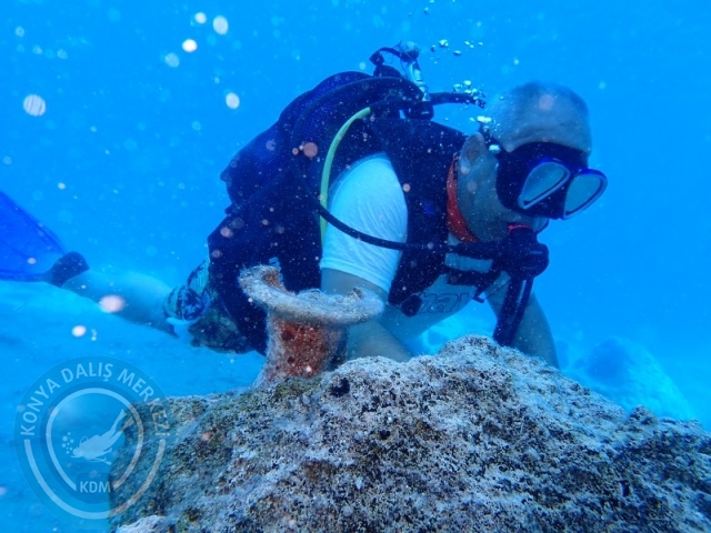 20-21 Temmuz Kaş