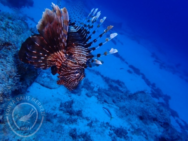 20-21 Temmuz Kaş