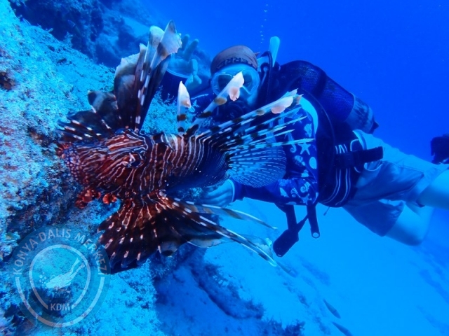 20-21 Temmuz Kaş