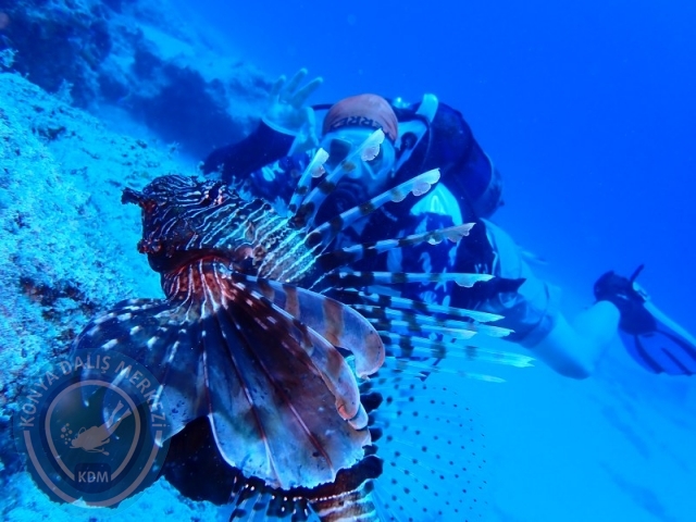 20-21 Temmuz Kaş