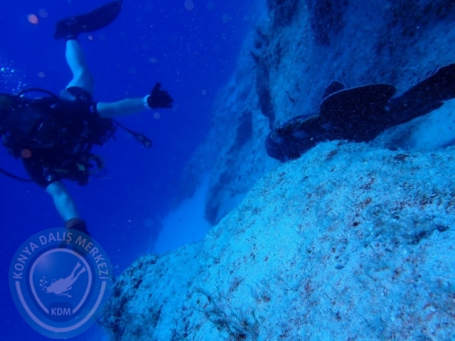 20-21 Temmuz Kaş