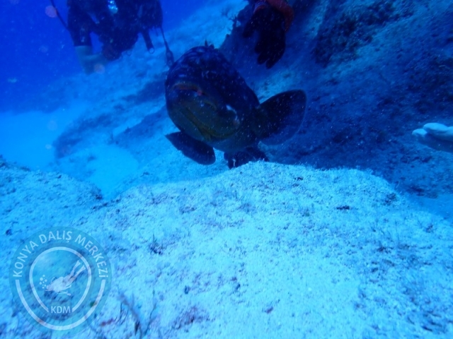 20-21 Temmuz Kaş