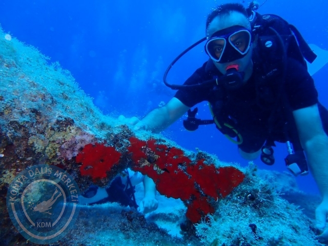20-21 Temmuz Kaş