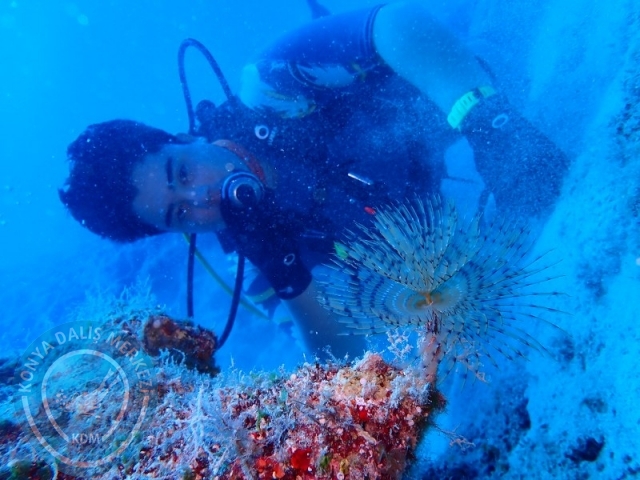 20-21 Temmuz Kaş