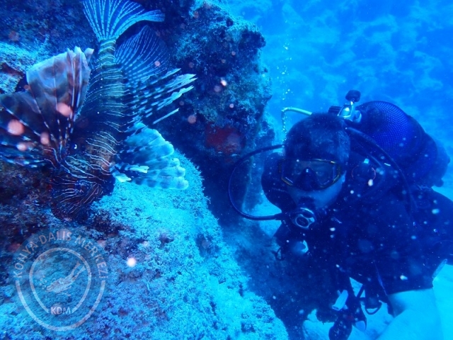 20-21 Temmuz Kaş