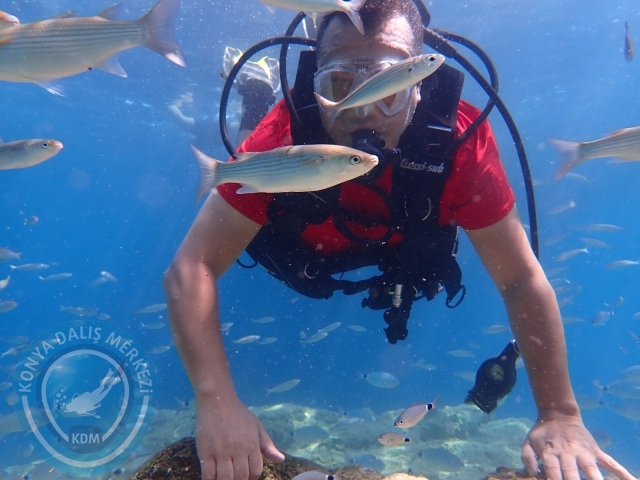 20-21 Ağustos Marmaris