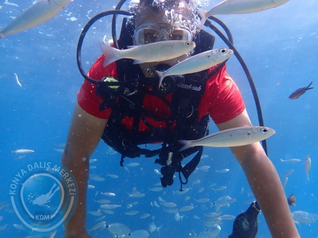 20-21 Ağustos Marmaris