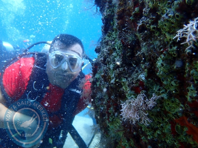 20-21 Ağustos Marmaris