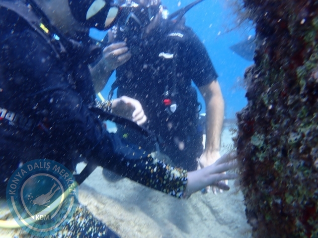 20-21 Ağustos Marmaris