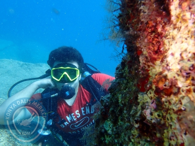 20-21 Ağustos Marmaris
