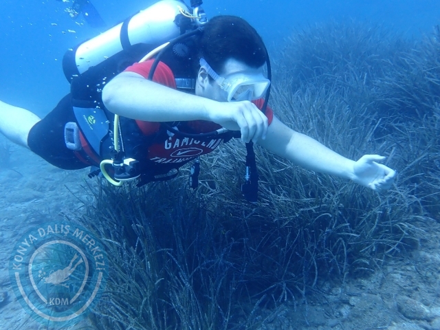 20-21 Ağustos Marmaris