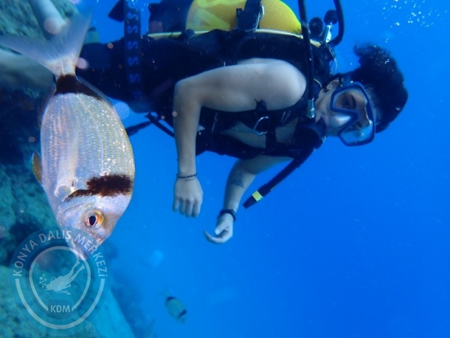 21-22 Eylül Kemer