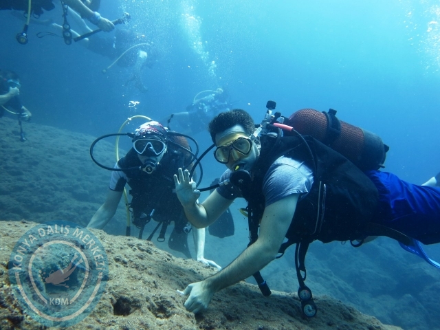 22-23 Ağustos Alanya