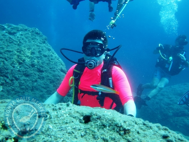 22-23 Ağustos Alanya
