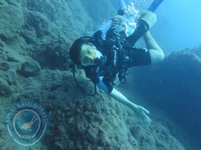 22-23 Ağustos Alanya