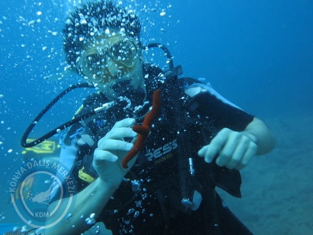 22-23 Ağustos Alanya