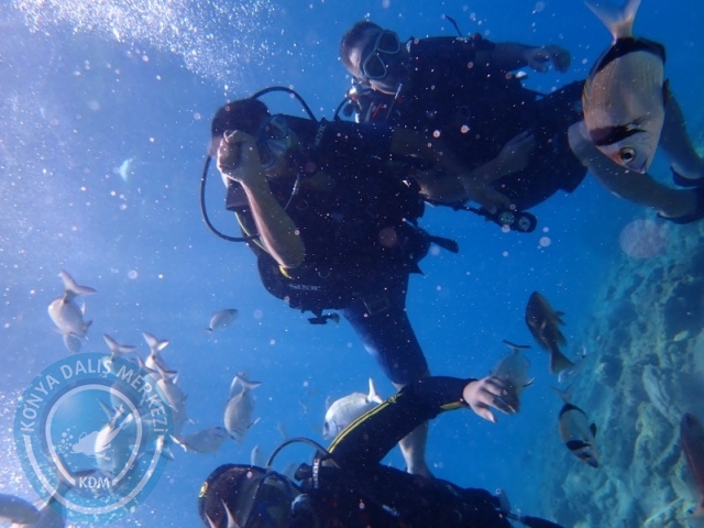22-23 Ağustos BODRUM