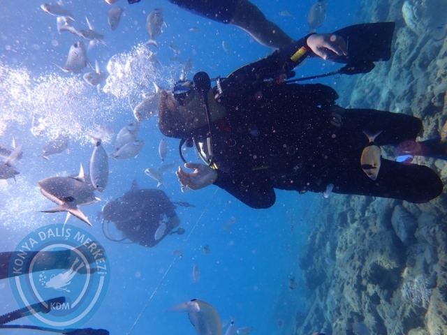 22-23 Ağustos BODRUM