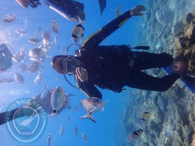 22-23 Ağustos BODRUM
